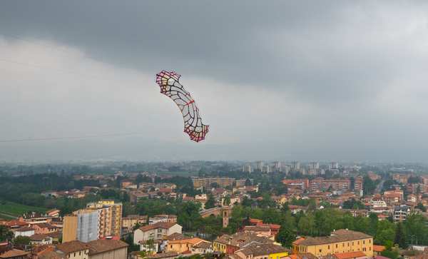 Image 5 from Tim Elverston Ruth Whiting Kite Art Gallery