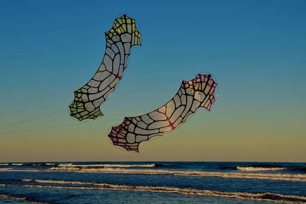 Image 6 from Tim Elverston Ruth Whiting Kite Art Gallery