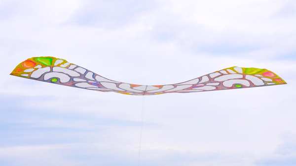Image 7 from Tim Elverston Ruth Whiting Kite Art Gallery