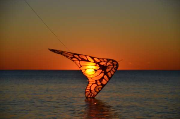 Image 8 from Tim Elverston Ruth Whiting Kite Art Gallery