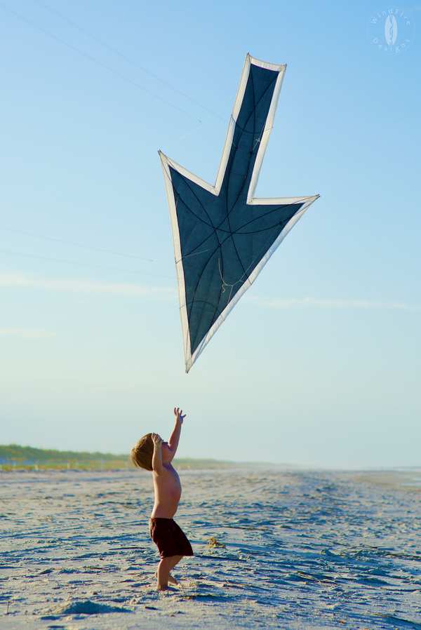 Image 10 from Tim Elverston Ruth Whiting Kite Art Gallery