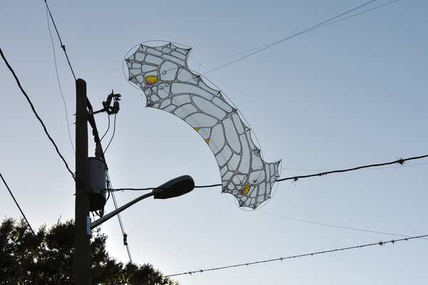 Image 13 from Tim Elverston Ruth Whiting Kite Art Gallery