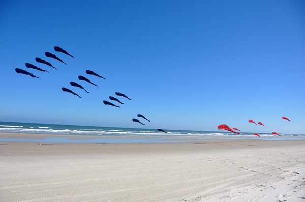 Image 15 from Tim Elverston Ruth Whiting Kite Art Gallery