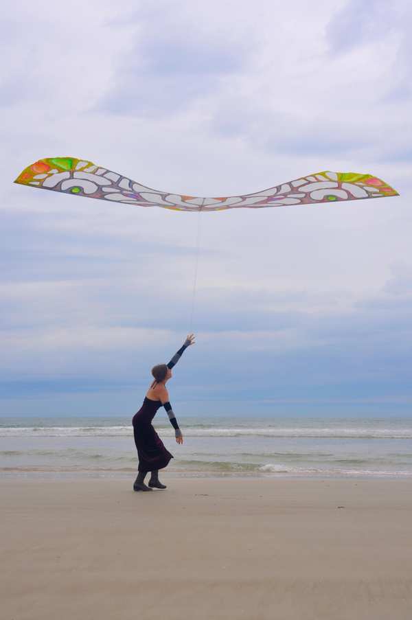 Image 21 from Tim Elverston Ruth Whiting Kite Art Gallery