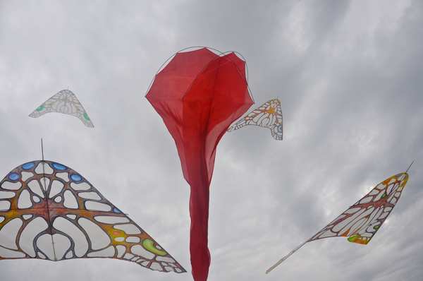 Image 22 from Tim Elverston Ruth Whiting Kite Art Gallery