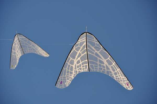 Image 30 from Tim Elverston Ruth Whiting Kite Art Gallery