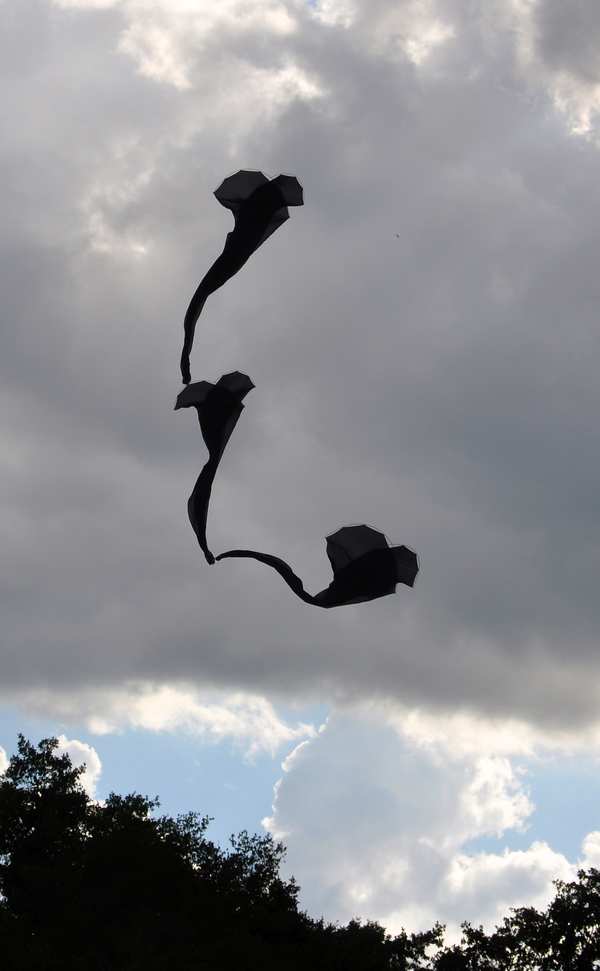 Image 37 from Tim Elverston Ruth Whiting Kite Art Gallery