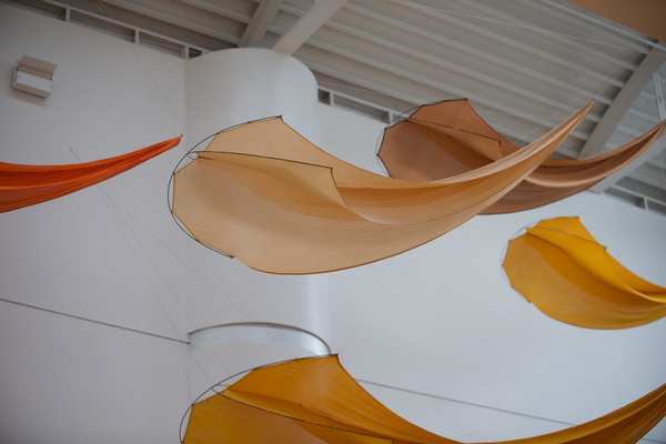 Image 39 from Tim Elverston Ruth Whiting Kite Art Gallery