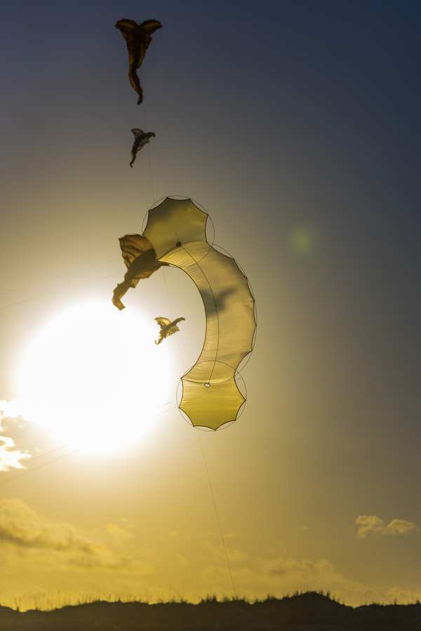 Image 47 from Tim Elverston Ruth Whiting Kite Art Gallery