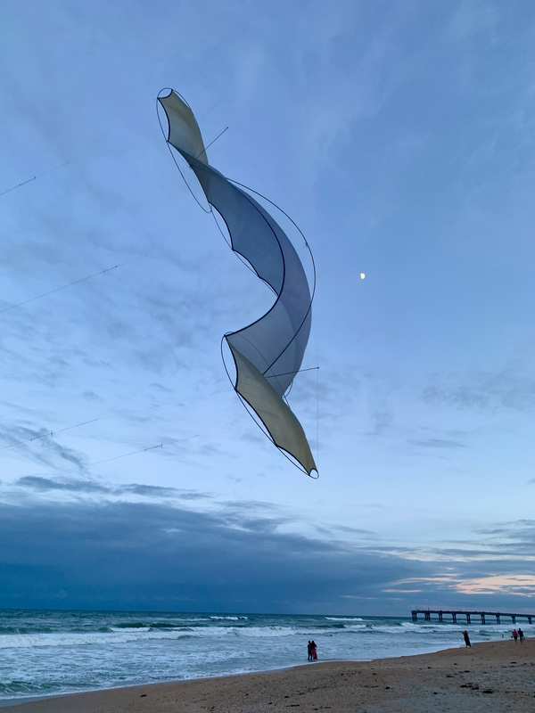 Image 49 from Tim Elverston Ruth Whiting Kite Art Gallery