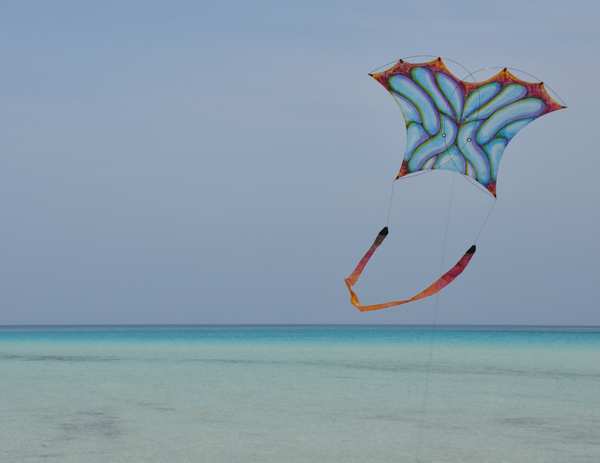 Image 53 from Tim Elverston Ruth Whiting Kite Art Gallery