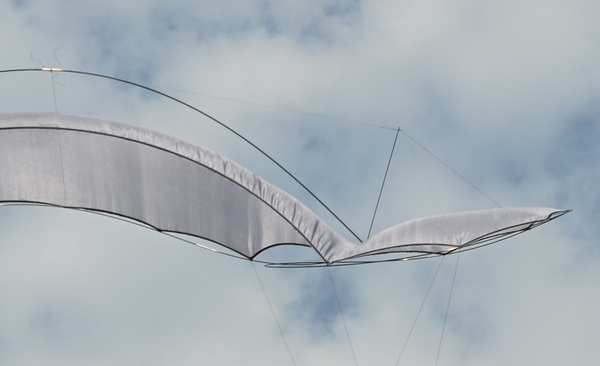 Image 54 from Tim Elverston Ruth Whiting Kite Art Gallery