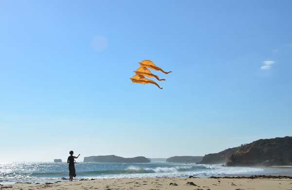 Image 64 from Tim Elverston Ruth Whiting Kite Art Gallery
