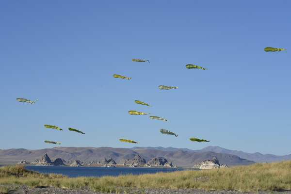 Image 78 from Tim Elverston Ruth Whiting Kite Art Gallery
