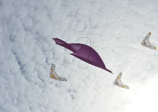 Image 100 from Tim Elverston Ruth Whiting Kite Art Gallery