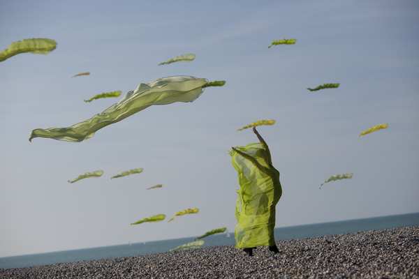 Image 103 from Tim Elverston Ruth Whiting Kite Art Gallery