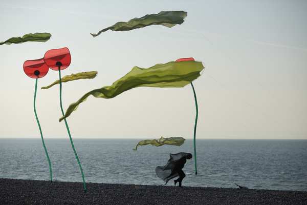 Image 105 from Tim Elverston Ruth Whiting Kite Art Gallery