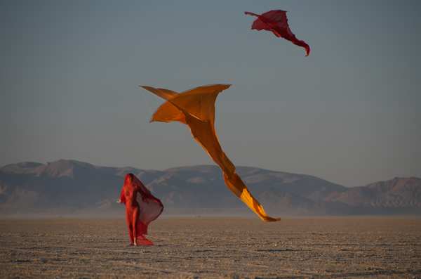 Image 110 from Tim Elverston Ruth Whiting Kite Art Gallery