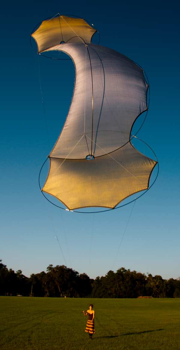 Image 129 from Tim Elverston Ruth Whiting Kite Art Gallery