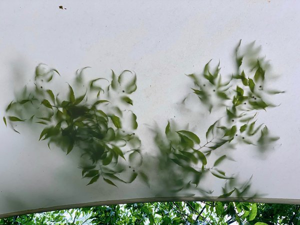 Image 2 custom shade sails - residential shade for porches, pools, decks, and patios for homes and restaurants - windfire designs