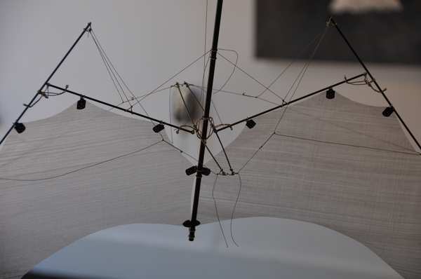 Image 30 from Artshow Bloom Tim Elverston Ruth Whiting 2010