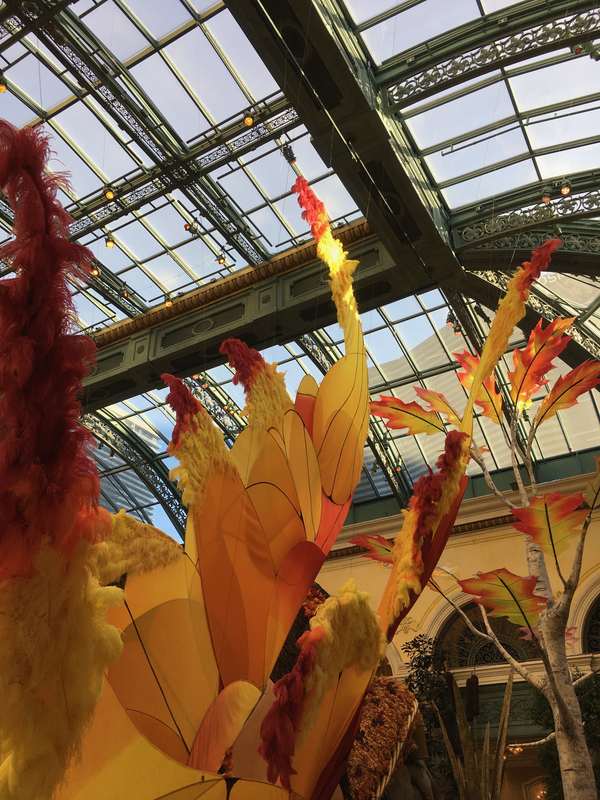 Bellagio fairy wings installed — made by WindFire Designs