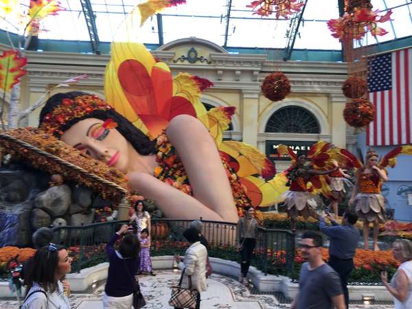 Image 2 from Bellagio Fairy Wings Installed