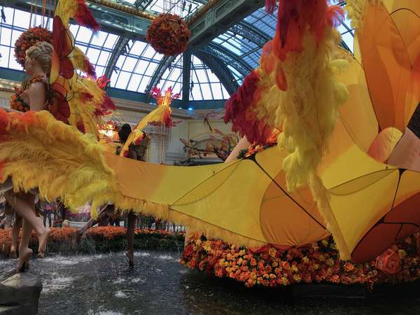 Image 3 from Bellagio Fairy Wings Installed
