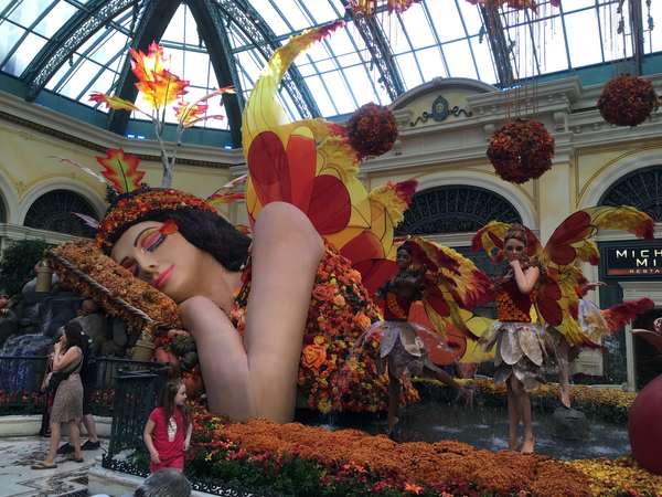 Image 5 from Bellagio Fairy Wings Installed
