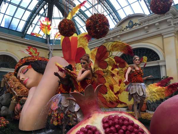 Image 6 from Bellagio Fairy Wings Installed