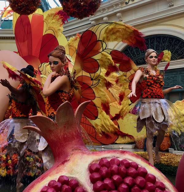 Image 7 from Bellagio Fairy Wings Installed