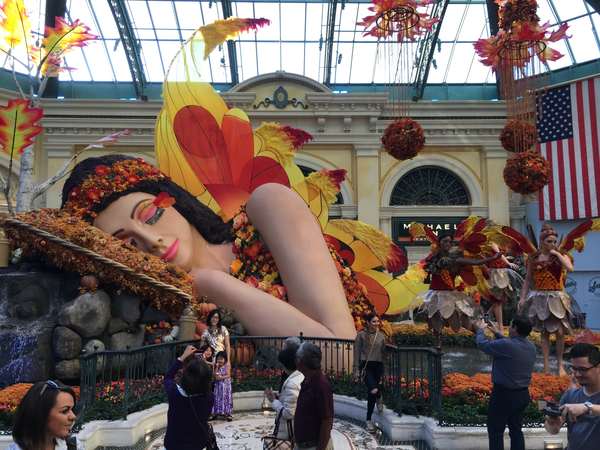 Image 8 from Bellagio Fairy Wings Installed