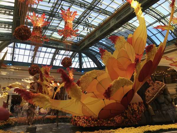 Image 9 from Bellagio Fairy Wings Installed