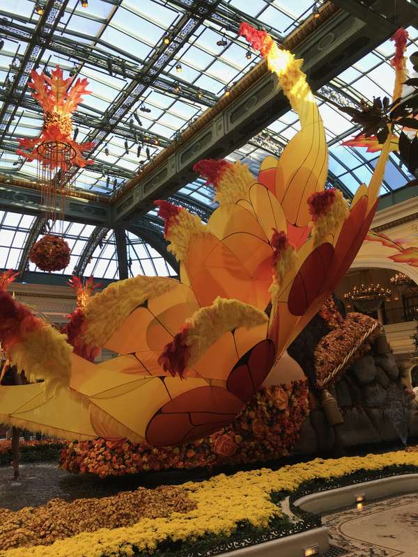 Image 10 from Bellagio Fairy Wings Installed