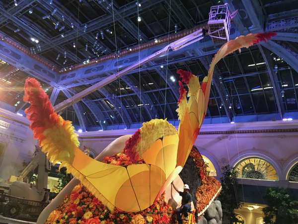 Image 40 from Giant Fairy Wings for the Bellagio Las Vegas by Windfire Designs