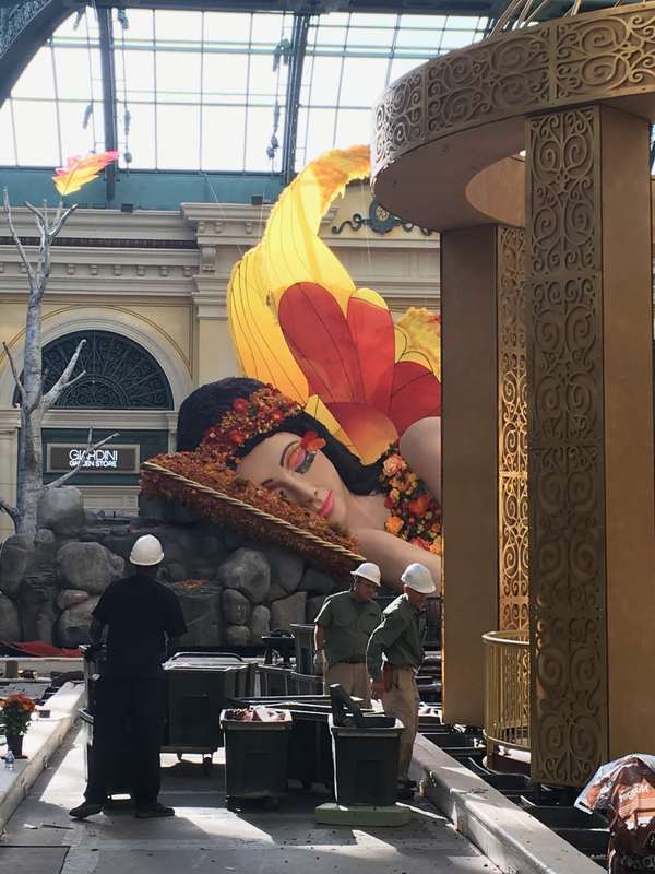 Image 46 from Giant Fairy Wings for the Bellagio Las Vegas by Windfire Designs