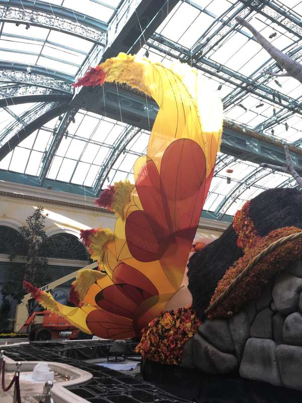 Image 47 from Giant Fairy Wings for the Bellagio Las Vegas by Windfire Designs