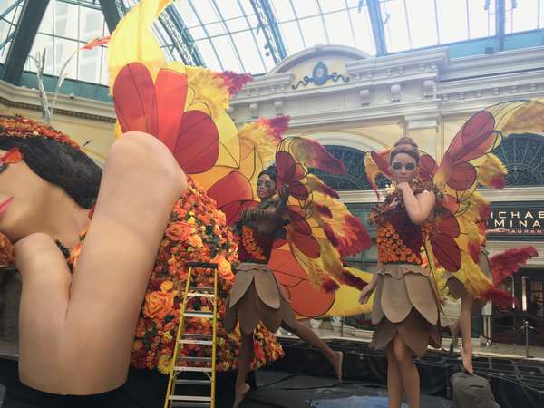 Image 48 from Giant Fairy Wings for the Bellagio Las Vegas by Windfire Designs