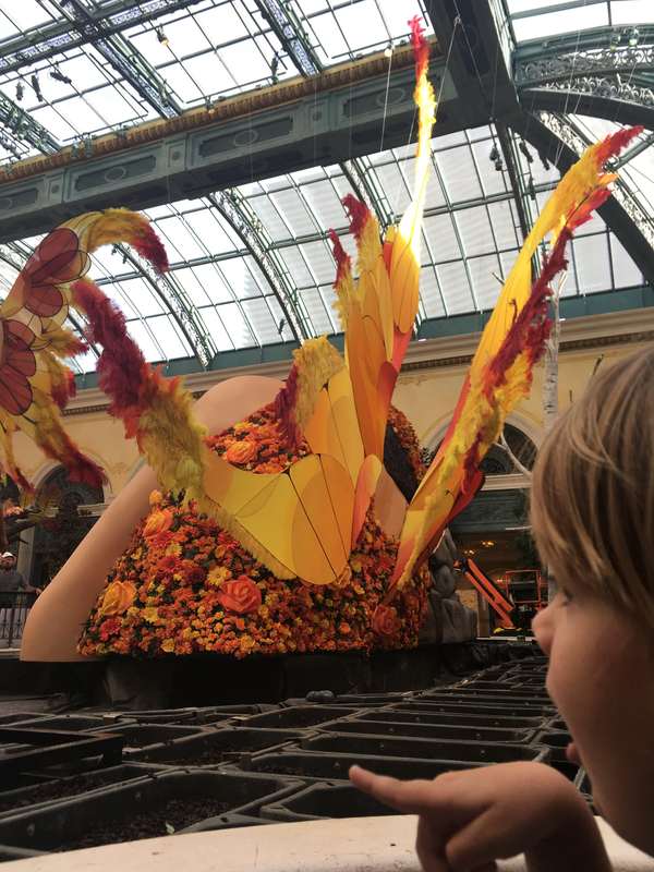Image 50 from Giant Fairy Wings for the Bellagio Las Vegas by Windfire Designs