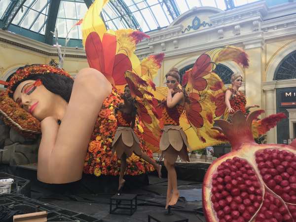 Image 51 from Giant Fairy Wings for the Bellagio Las Vegas by Windfire Designs