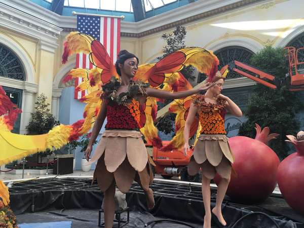 Image 52 from Giant Fairy Wings for the Bellagio Las Vegas by Windfire Designs