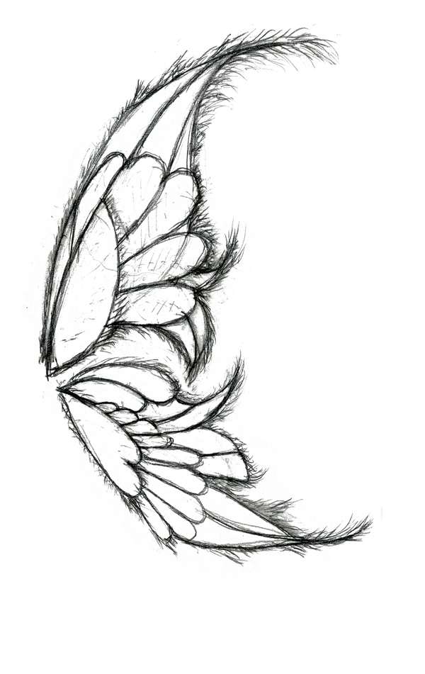 Image 69 from Giant Fairy Wings for the Bellagio Las Vegas by Windfire Designs