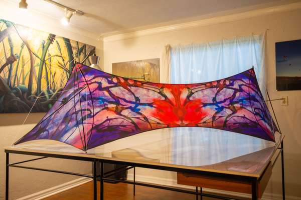 Image 1 from Cirque Du Soleil Toruk Kites by WindFire Designs