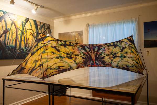 Image 4 from Cirque Du Soleil Toruk Kites by WindFire Designs