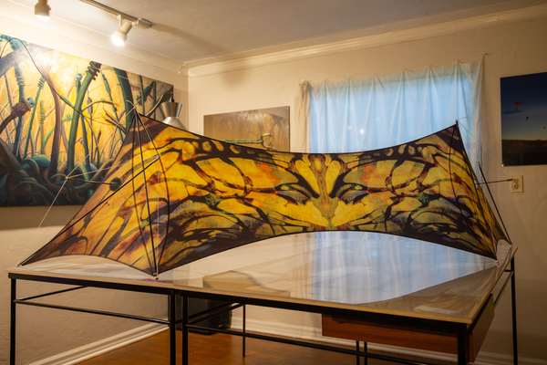 Image 5 from Cirque Du Soleil Toruk Kites by WindFire Designs