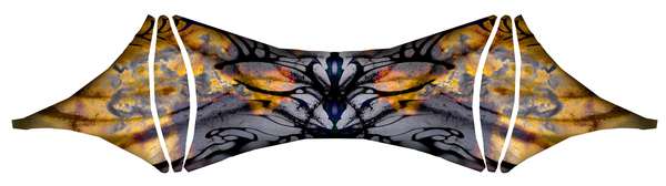 Image 16 from Cirque Du Soleil Toruk Kites by WindFire Designs