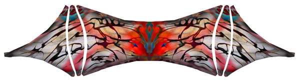 Image 19 from Cirque Du Soleil Toruk Kites by WindFire Designs
