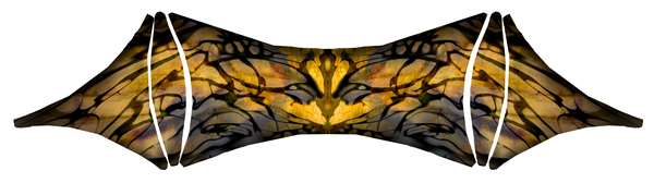 Image 20 from Cirque Du Soleil Toruk Kites by WindFire Designs