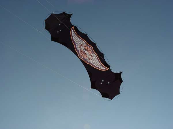 Image 4 from Branded indoor quadline kite for corporate trade show performance for Harley Davidson - by WindFire Designs