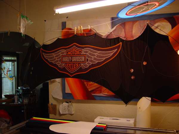 Image 11 from Branded indoor quadline kite for corporate trade show performance for Harley Davidson - by WindFire Designs